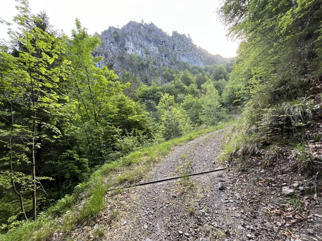 Bocca di Valle...Bondone (TN)